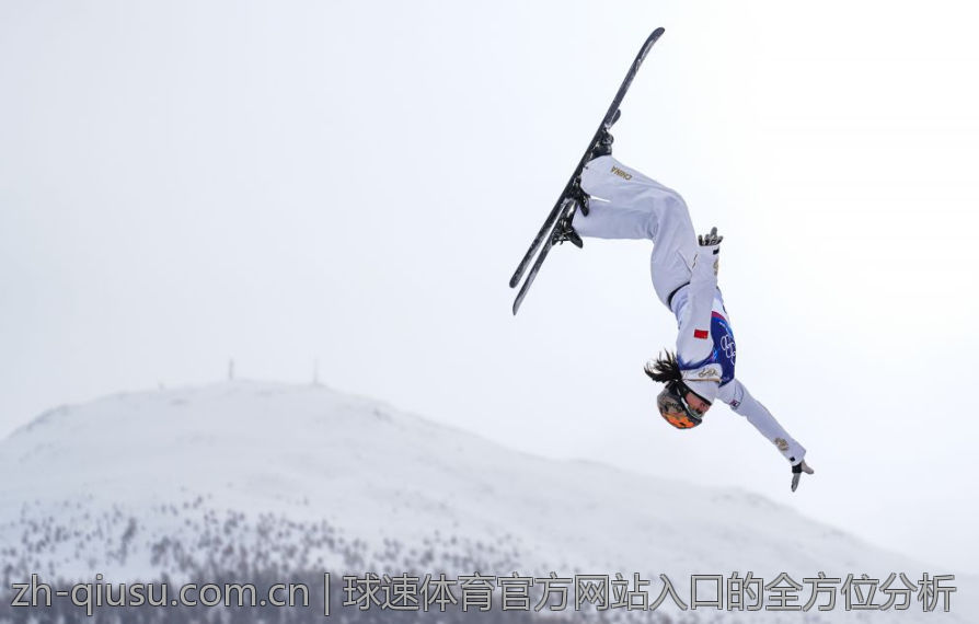 球速体育官方网站入口的全方位分析